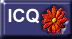 Pulsa para ver mis datos ICQ